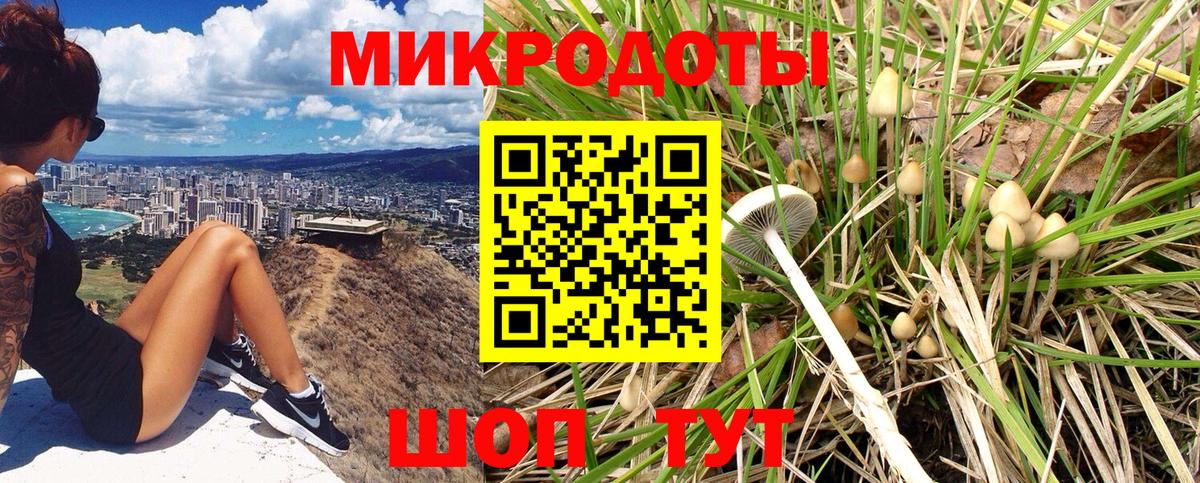 Галлюциногенные грибы Psilocybe  Вход с VPN  даркнет сайт  Новоалександровск 